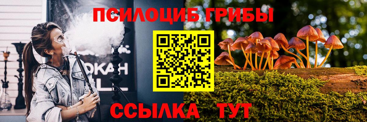 Псилоцибиновые грибы мухоморы  Галлюциногенные грибы Cubensis  Кингисепп  Вход с VPN 