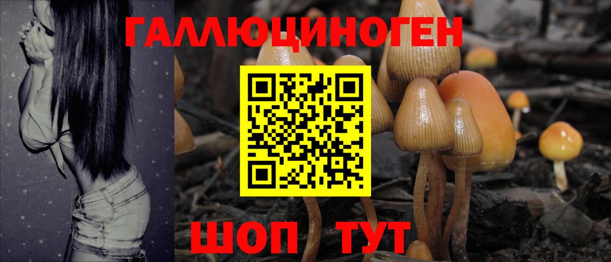 Псилоцибиновые грибы мухоморы Кингисепп