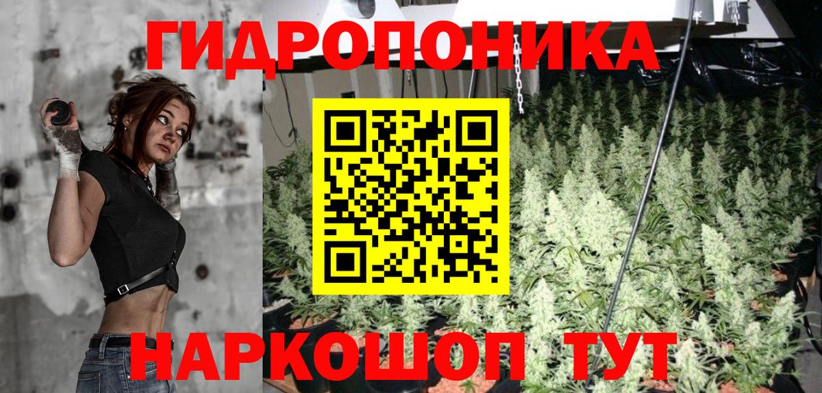 Кингисепп  Каннабис конопля  Вход с VPN  МАРИХУАНА Amnesia 